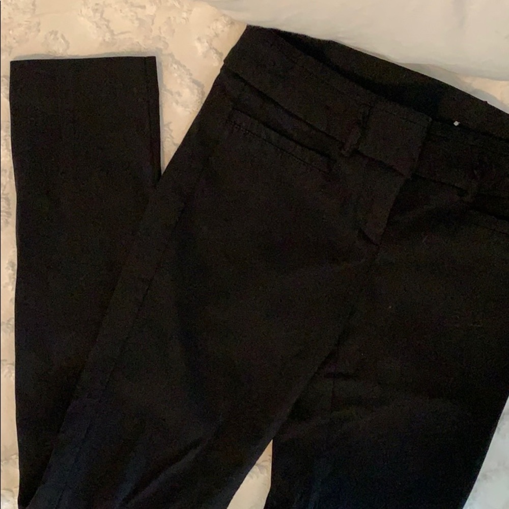 Dress Pant